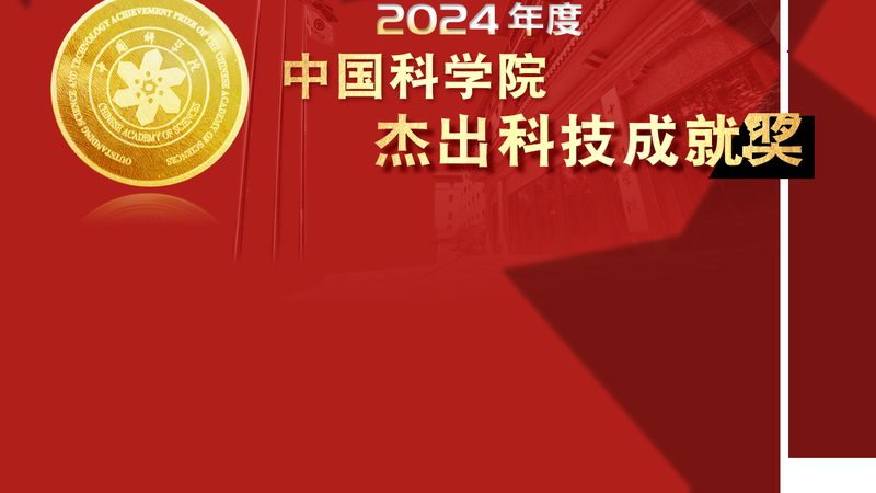 科技服务项目招标报价方案：为什么低价未必是赢家